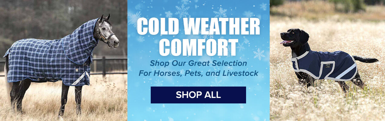 Cold Weather Comfort